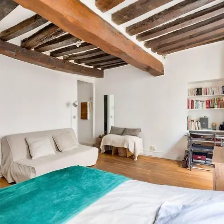 Charming Studio Under The Roofs Of Parigi